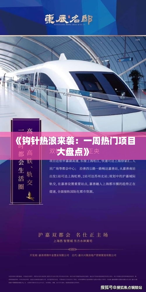 《钩针热浪来袭：一周热门项目大盘点》