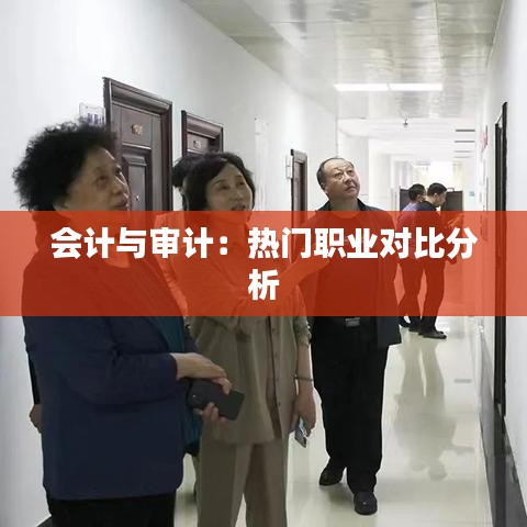 会计与审计：热门职业对比分析