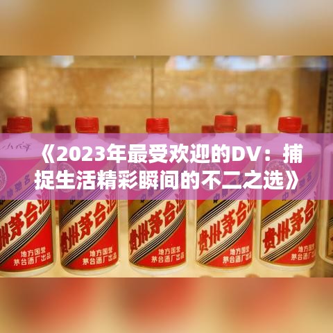 《2023年最受欢迎的DV：捕捉生活精彩瞬间的不二之选》