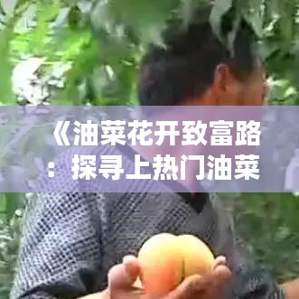 《油菜花开致富路：探寻上热门油菜的奥秘》