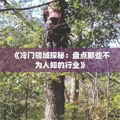 《冷门领域探秘：盘点那些不为人知的行业》