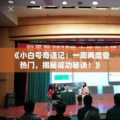 《小白号奇遇记：一周两度登热门，揭秘成功秘诀！》