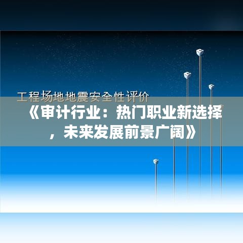 《审计行业：热门职业新选择，未来发展前景广阔》