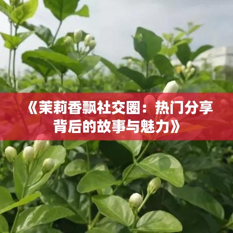 仙风道骨 第3页