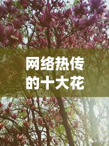 天罗地网 第4页