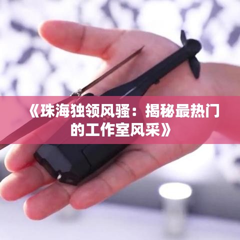 《珠海独领风骚：揭秘最热门的工作室风采》