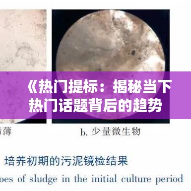 《热门提标：揭秘当下热门话题背后的趋势与机遇》