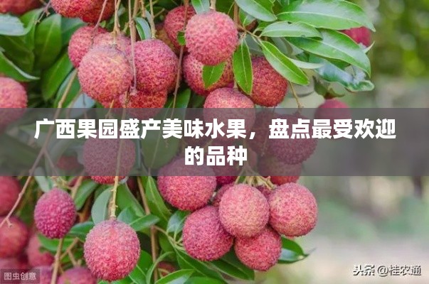 广西果园盛产美味水果，盘点最受欢迎的品种