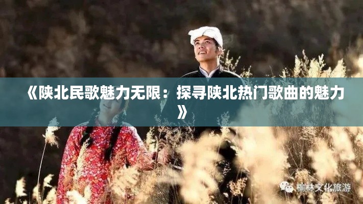 《陕北民歌魅力无限：探寻陕北热门歌曲的魅力》