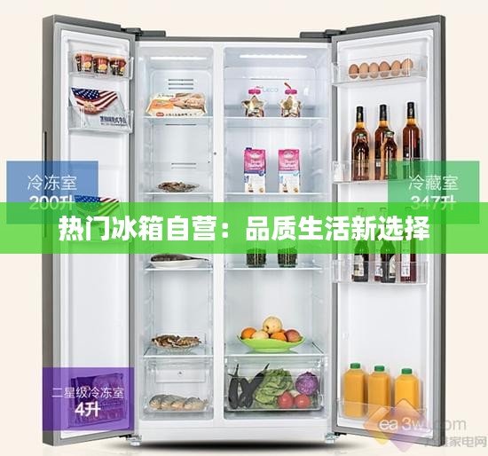 热门冰箱自营：品质生活新选择