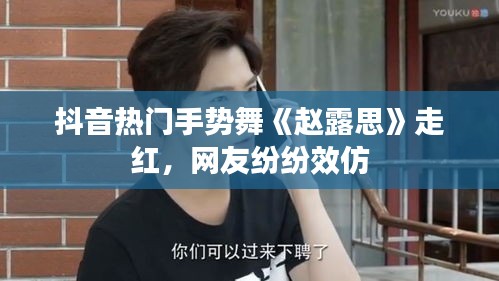 抖音热门手势舞《赵露思》走红，网友纷纷效仿