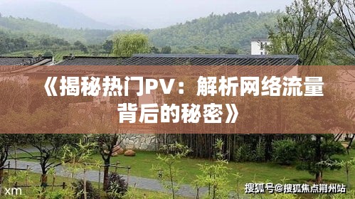 《揭秘热门PV：解析网络流量背后的秘密》