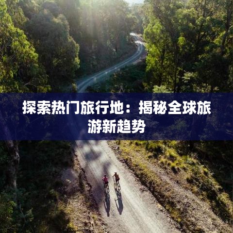观往知来 第4页