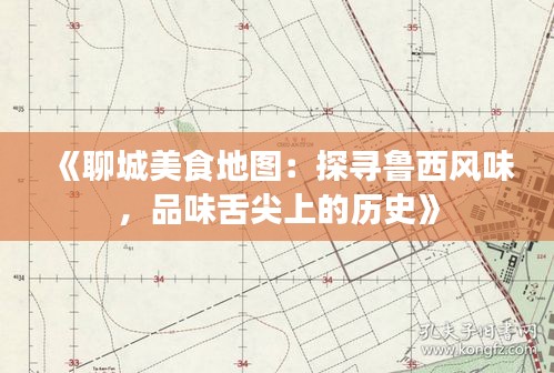 《聊城美食地图：探寻鲁西风味，品味舌尖上的历史》