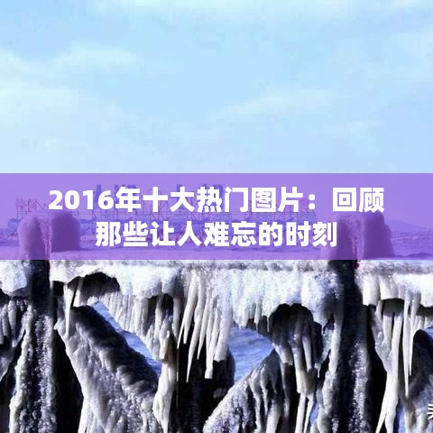 2016年十大热门图片：回顾那些让人难忘的时刻