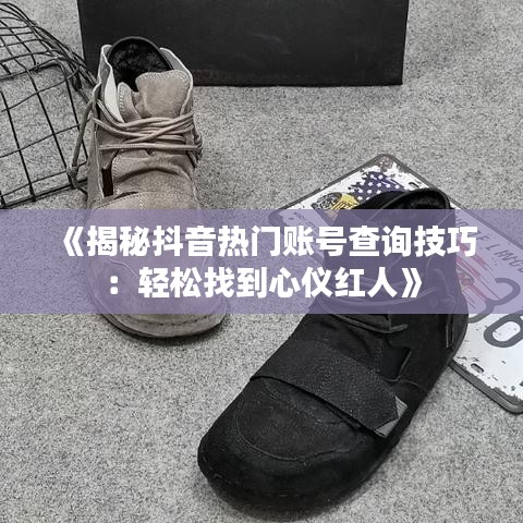 《揭秘抖音热门账号查询技巧：轻松找到心仪红人》