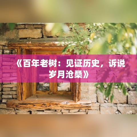 《百年老树：见证历史，诉说岁月沧桑》