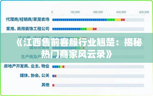 《江西售前客服行业翘楚：揭秘热门商家风云录》
