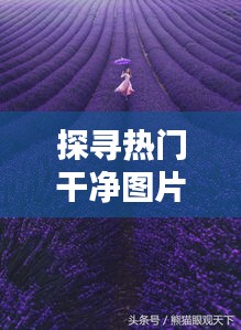 探寻热门干净图片：视觉盛宴与心灵净化
