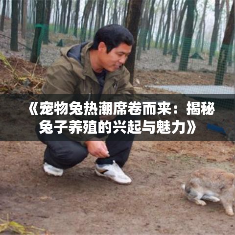 《宠物兔热潮席卷而来：揭秘兔子养殖的兴起与魅力》
