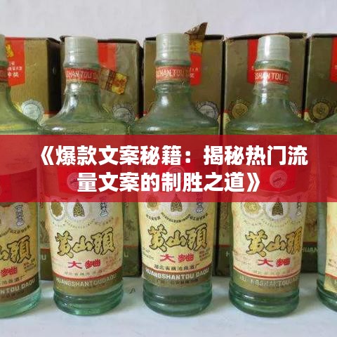 《爆款文案秘籍：揭秘热门流量文案的制胜之道》
