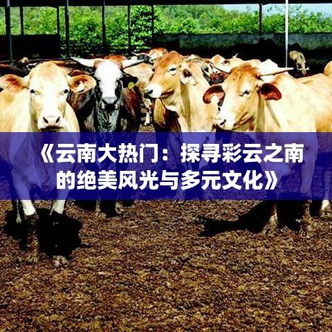 《云南大热门：探寻彩云之南的绝美风光与多元文化》