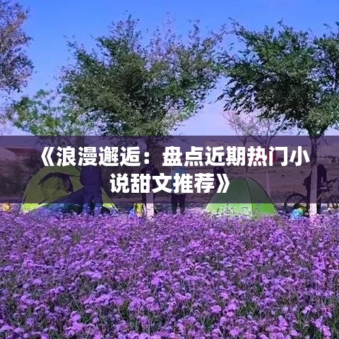 《浪漫邂逅：盘点近期热门小说甜文推荐》