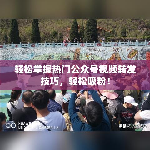 轻松掌握热门公众号视频转发技巧，轻松吸粉！