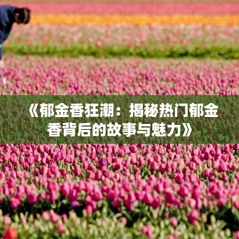 达官贵人 第3页