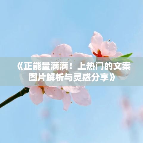 两袖清风 第3页