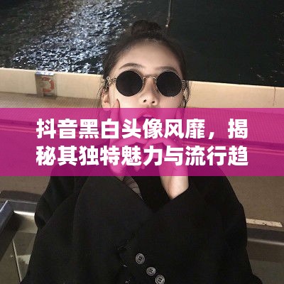 抖音黑白头像风靡，揭秘其独特魅力与流行趋势