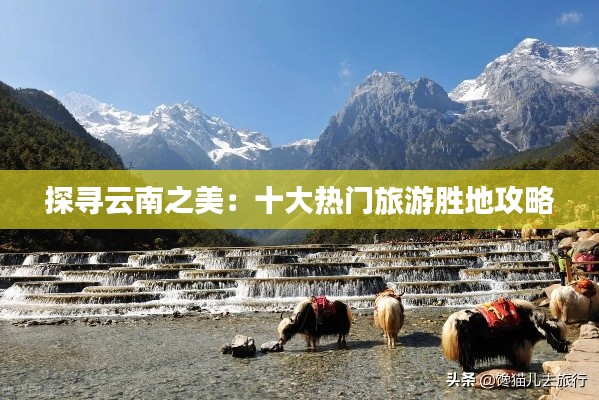 读书三到 第2页