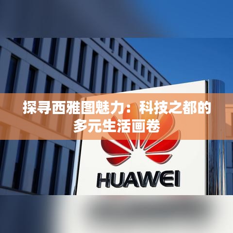 探寻西雅图魅力：科技之都的多元生活画卷