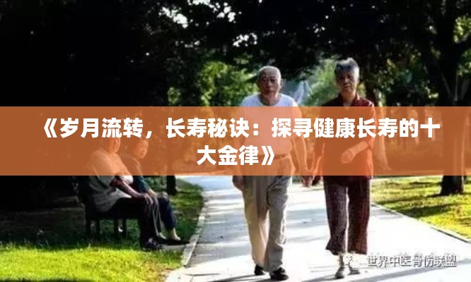 料事如神 第2页