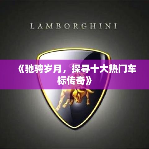 就地取材 第3页