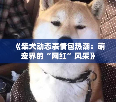 《柴犬动态表情包热潮：萌宠界的“网红”风采》
