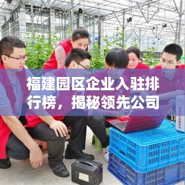 福建园区企业入驻排行榜，揭秘领先公司榜单！