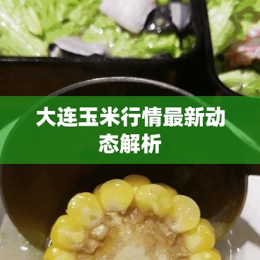 长安米贵 第3页