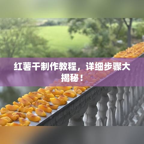气宇轩昂 第3页