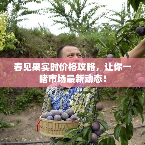 量入为出 第3页