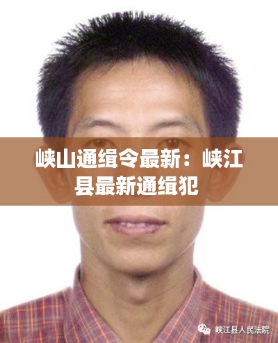 风驰电掣 第3页