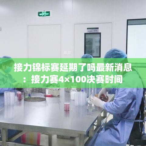 甄繁就简 第3页