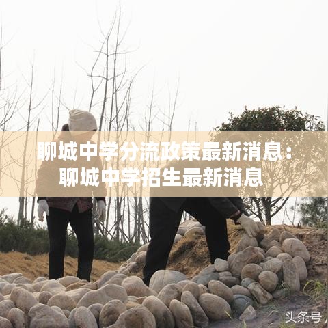 聊城中学分流政策最新消息：聊城中学招生最新消息 