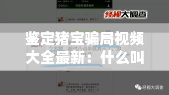 吉光片羽 第3页