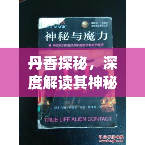 秀外慧中 第3页