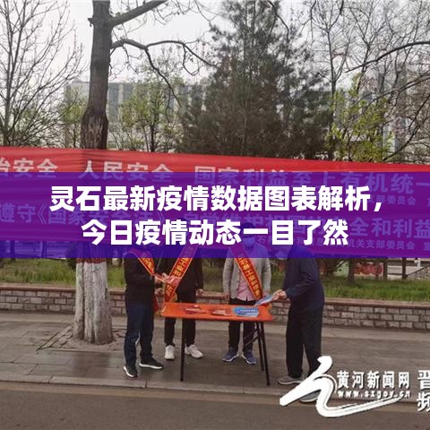 灵石最新疫情数据图表解析，今日疫情动态一目了然