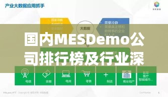 国内MESDemo公司排行榜及行业深度洞察揭秘！