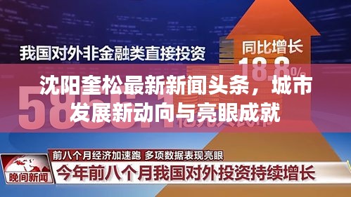沈阳奎松最新新闻头条，城市发展新动向与亮眼成就