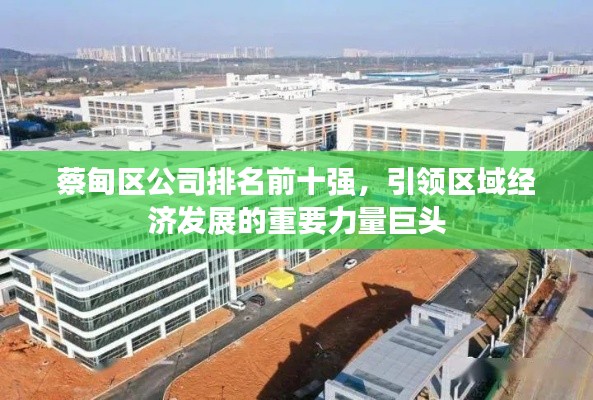 蔡甸区公司排名前十强，引领区域经济发展的重要力量巨头