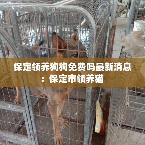 情不自禁 第2页